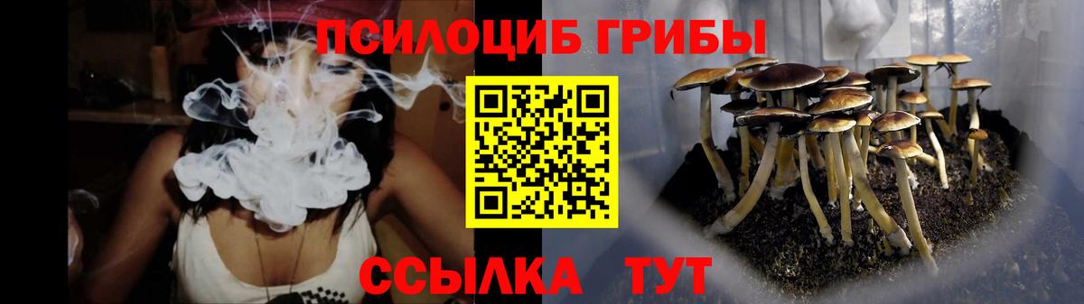 Галлюциногенные грибы Psilocybe  Галлюциногенные грибы прущие грибы  Вход с VPN  Артём 